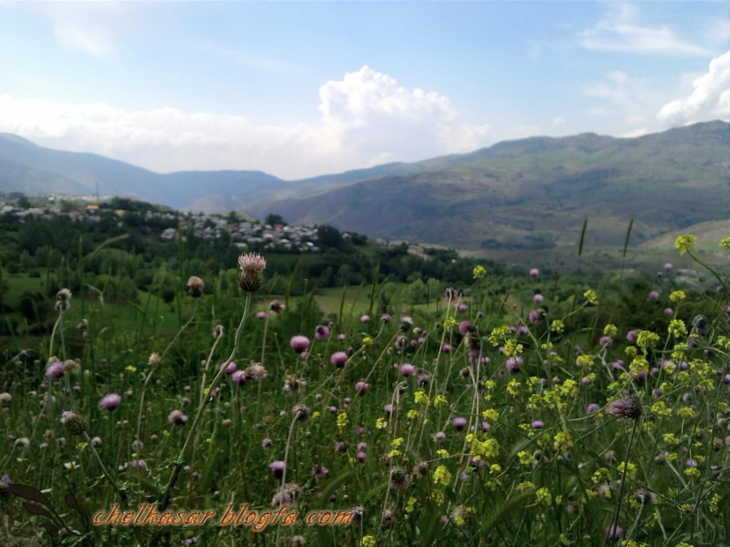 چلكاسر