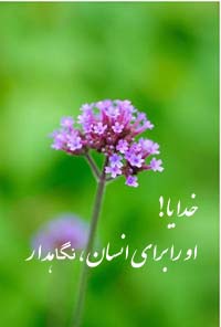 http://s4.picofile.com/file/7866740214/tiny_purple_flowers_image.jpg