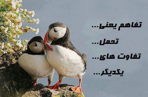 پاسخ به:اینجا همه چیز عالیه!!