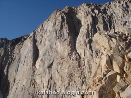 علم کوه - گرده آلمان ها