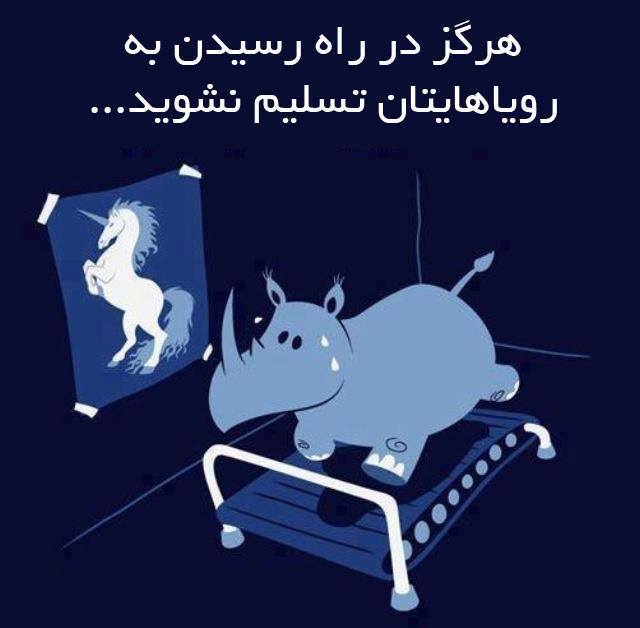پاسخ به:اینجا همه چیز عالیه!!