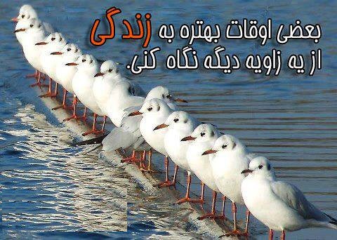 پاسخ به:چند سطر یادگاری