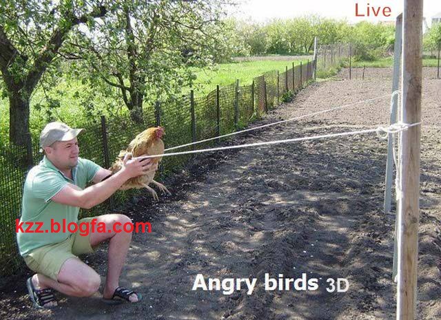 http://s4.picofile.com/file/7902208381/Angri_birds_3D_Live_fb98_.jpg