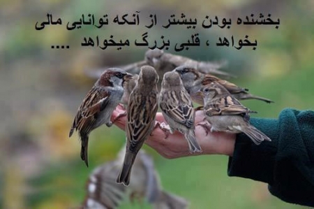 پاسخ به:اینجا همه چیز عالیه!!