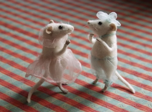 .×عکس لــو رفته از عروسی موش ها:) ×...