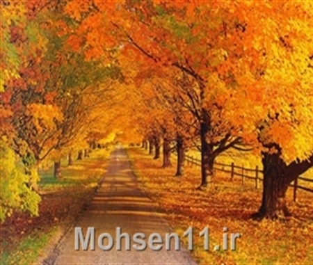 http://s4.picofile.com/file/7918726662/%D9%BE%D8%A7%DB%8C%DB%8C%D8%B2.jpg