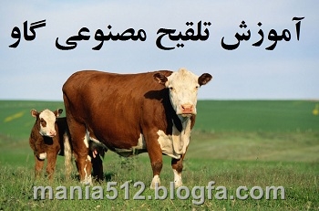 http://s4.picofile.com/file/7919934080/%D8%AA%D9%84%D9%82%DB%8C%D8%AD_%D9%85%D8%B5%D9%86%D9%88%D8%B9%DB%8C_%DA%AF%D8%A7%D9%88.jpg