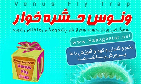 خريد گياه ونوس گوشتخوار حشره خوار خريد گياه ونوس گوشتخوار حشره خوار
