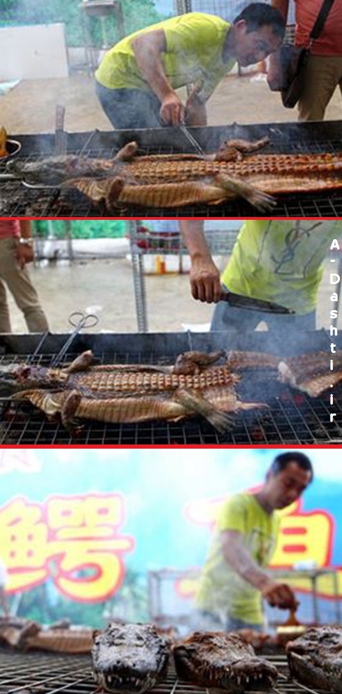 سرو تمساح در رستوران چینی