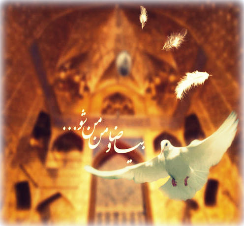 السلام علیک یا علی بن موسی الرضا