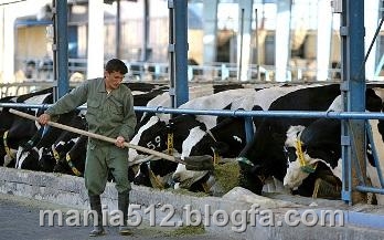 http://s4.picofile.com/file/7936220856/%DA%AF%D8%A7%D9%88_%D8%B4%DB%8C%D8%B1%DB%8C1.jpg