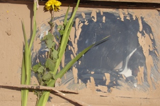 http://s4.picofile.com/file/7944889565/DSC00414.jpg