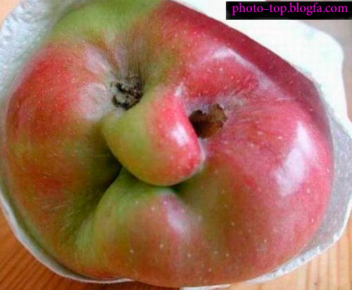 http://s4.picofile.com/file/7949986341/%d8%b9%da%a9%d8%b3_%d8%ae%db%8c%d9%84%db%8c_%d8%ae%d9%86%d8%af%d9%87_%d8%af%d8%a7%d8%b1.jpg