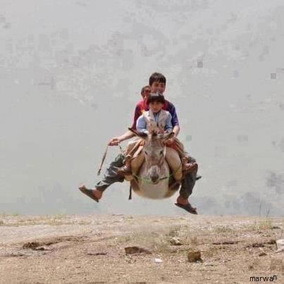 ع خیلی خنده دار