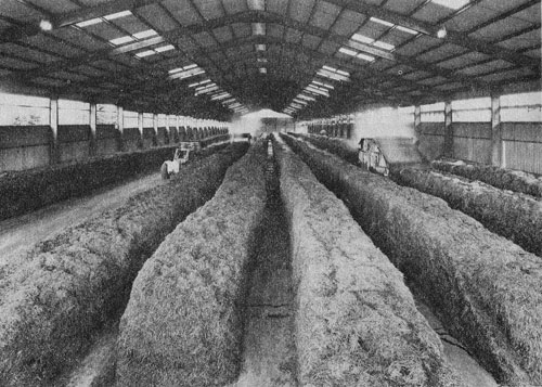 http://s4.picofile.com/file/7956032682/compost01.jpg