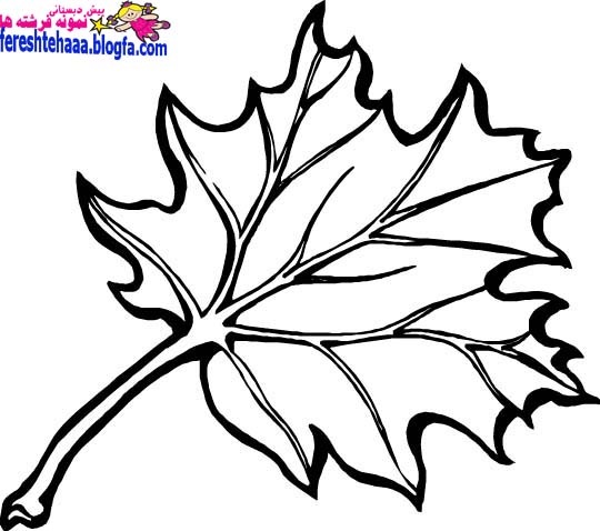 http://s4.picofile.com/file/7960941505/leaf_coloring_page_Copy.jpg