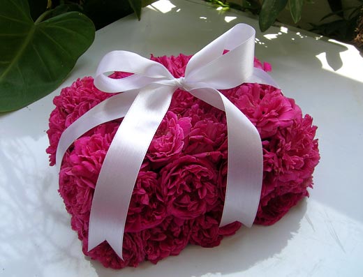 gift_rose_box_pink.jpg