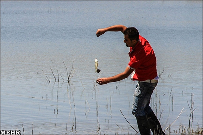 جشنواره خانوادگی ماهیگیری با قلاب در نیر برگزار شد