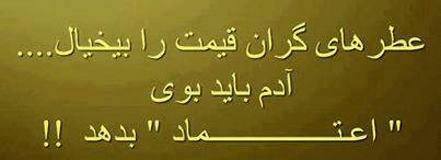 پاسخ به:اینجا همه چیز عالیه!!