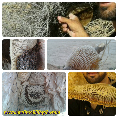 http://s4.picofile.com/file/7979357197/ba_andaki_sharh_2.jpg
