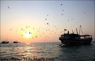 http://s4.picofile.com/file/7986884408/9810.jpg