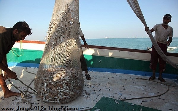 http://s4.picofile.com/file/7986885806/9815.jpg