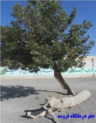 جلو درمانگاه