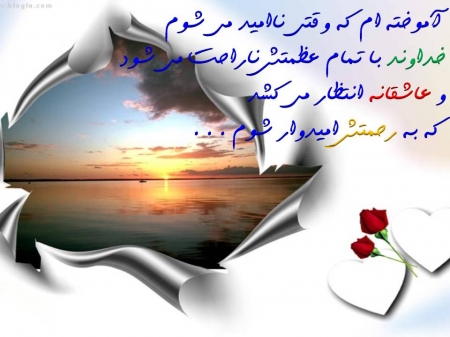 پاسخ به:اینجا همه چیز عالیه!!