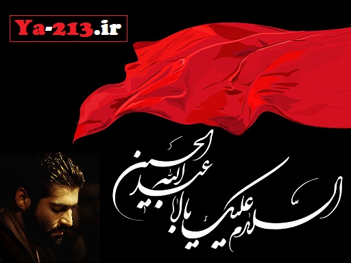 مهدی رعنایی