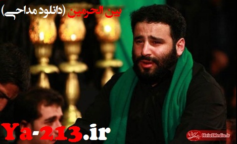 سید مهدی میرداماد