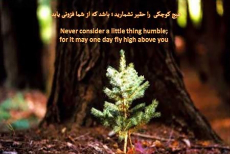 پاسخ به:اینجا همه چیز عالیه!!