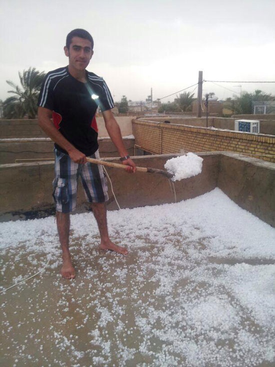 http://s4.picofile.com/file/8100394300/tagarg_khonj_6.jpg