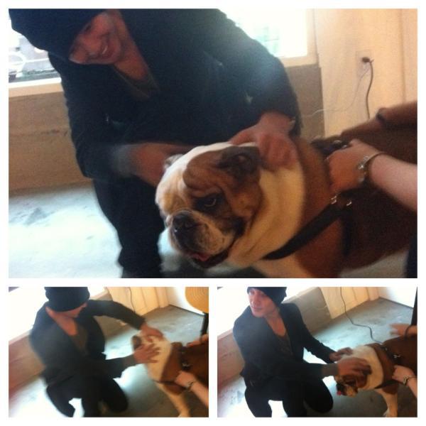 Kim Hyun Joong With Lyle Beniga Dog