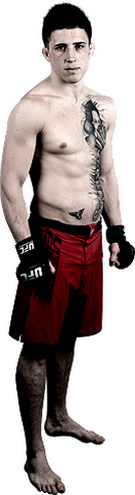 نتایج رویداد UFC Fight Night 59 : McGregor vs. Siver