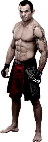 پیش نمایش ))> UFC Fight Night 59 : McGregor vs. Siver <((