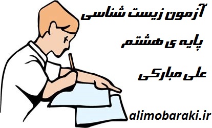 http://s4.picofile.com/file/8163803876/111111111.jpg
