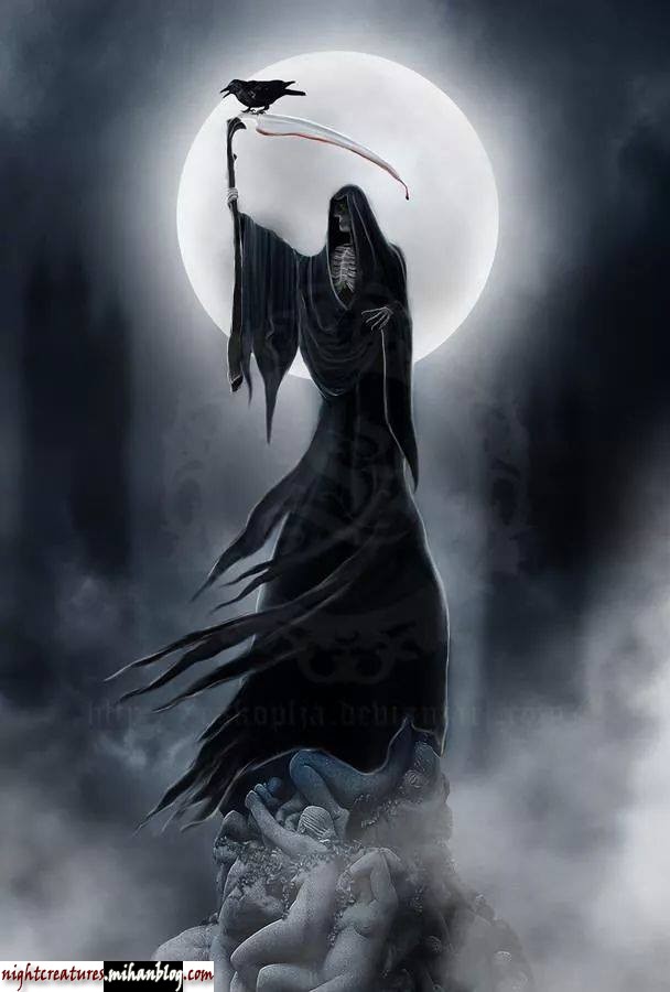 عکس_و_والپیپر_اسکلت_فانتزی_www_nightcreatures_mihanblog_com38.jpg (608×900)