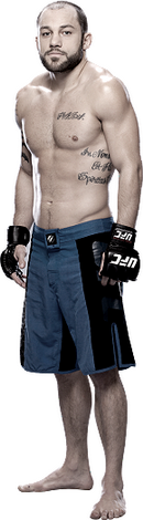 نتایج رویداد UFC on Fox 14 : Gustafsson vs. Johnson