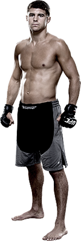 ))>پیش نمایش UFC 183 : Silva vs. Diaz <((