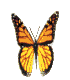 http://s4.picofile.com/file/8167068384/vlinder252001.gif