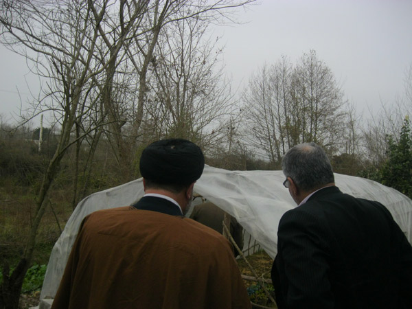 ماسال نیوز مزرعه پرورش سیکاس