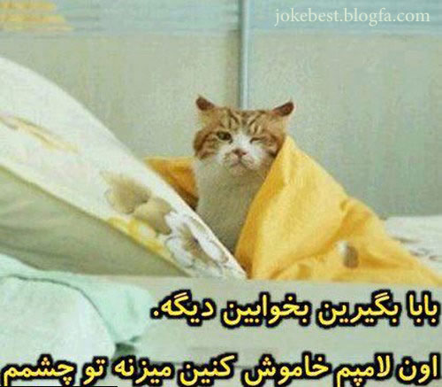 عکس های خفن خنده دار جدید باحال+تصاویر طنز+عکس های باحال عکس های خنده دار http://malistanmalistan.blogfa.com/post/100 عکس های طنز،عکس خنده دار جدید