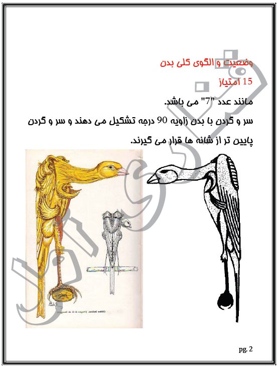 استاندارد جیبر ایتالیایی استاندارد جیبر ایتالیایی