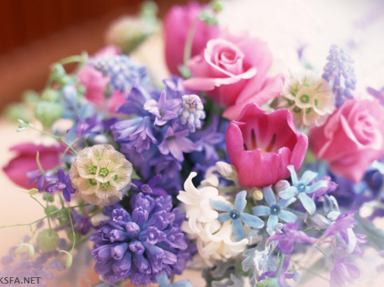 http://s4.picofile.com/file/8171678018/beautiful_flowers_14.jpg