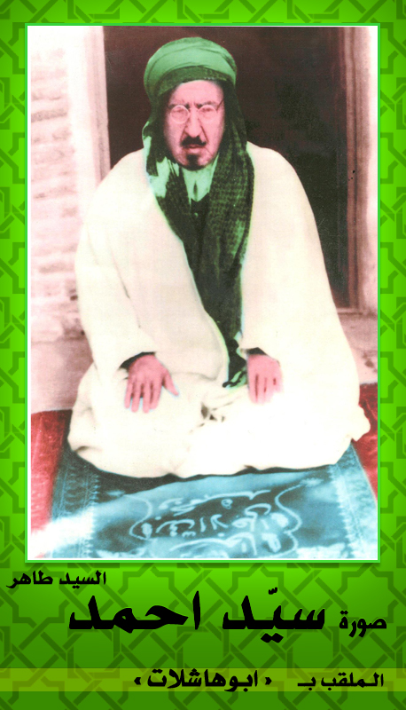 بیت سید احمد - picture 9