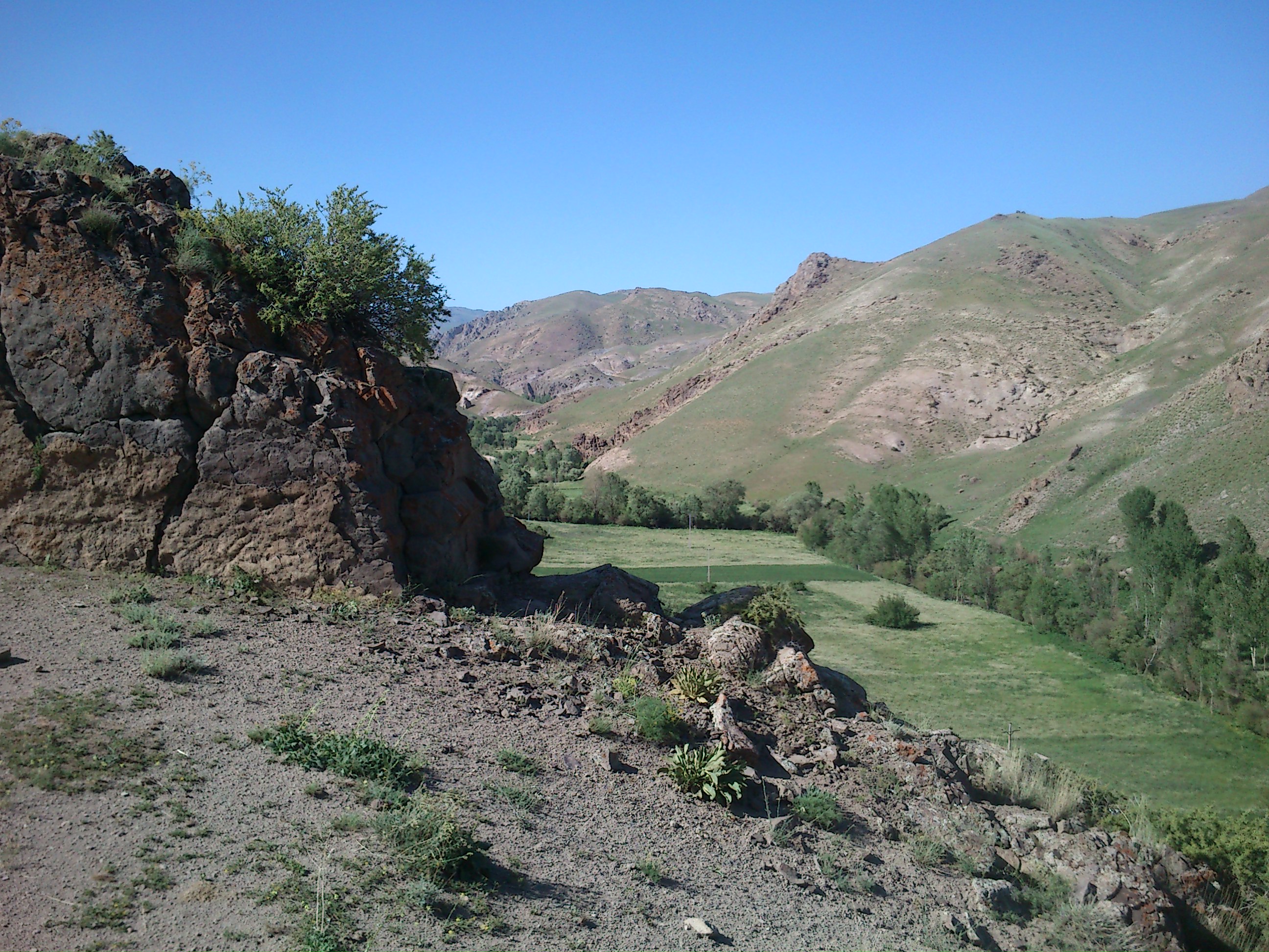 http://s4.picofile.com/file/8172571934/DSC_0095.JPG