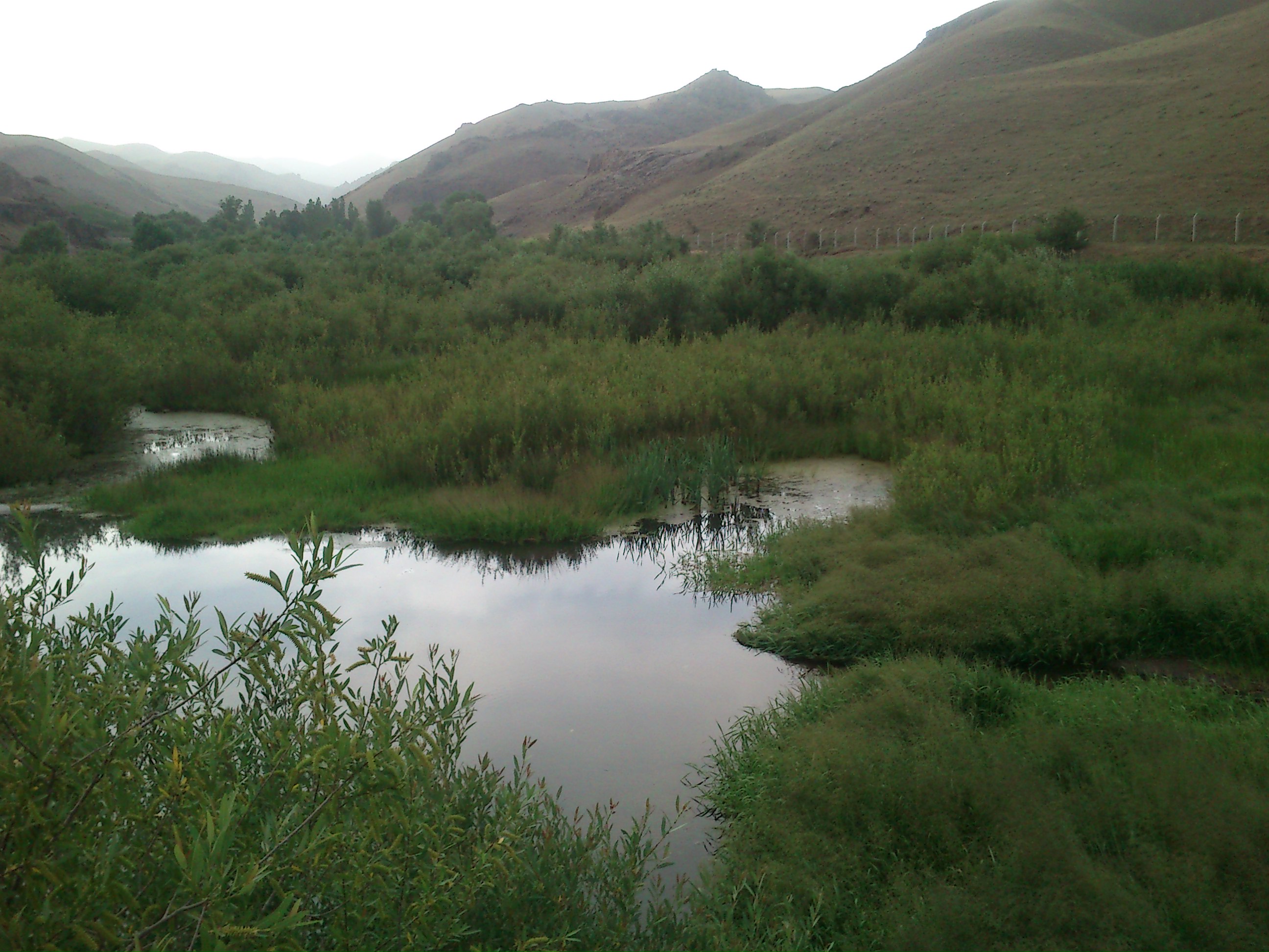 http://s4.picofile.com/file/8172572342/DSC_0424.JPG