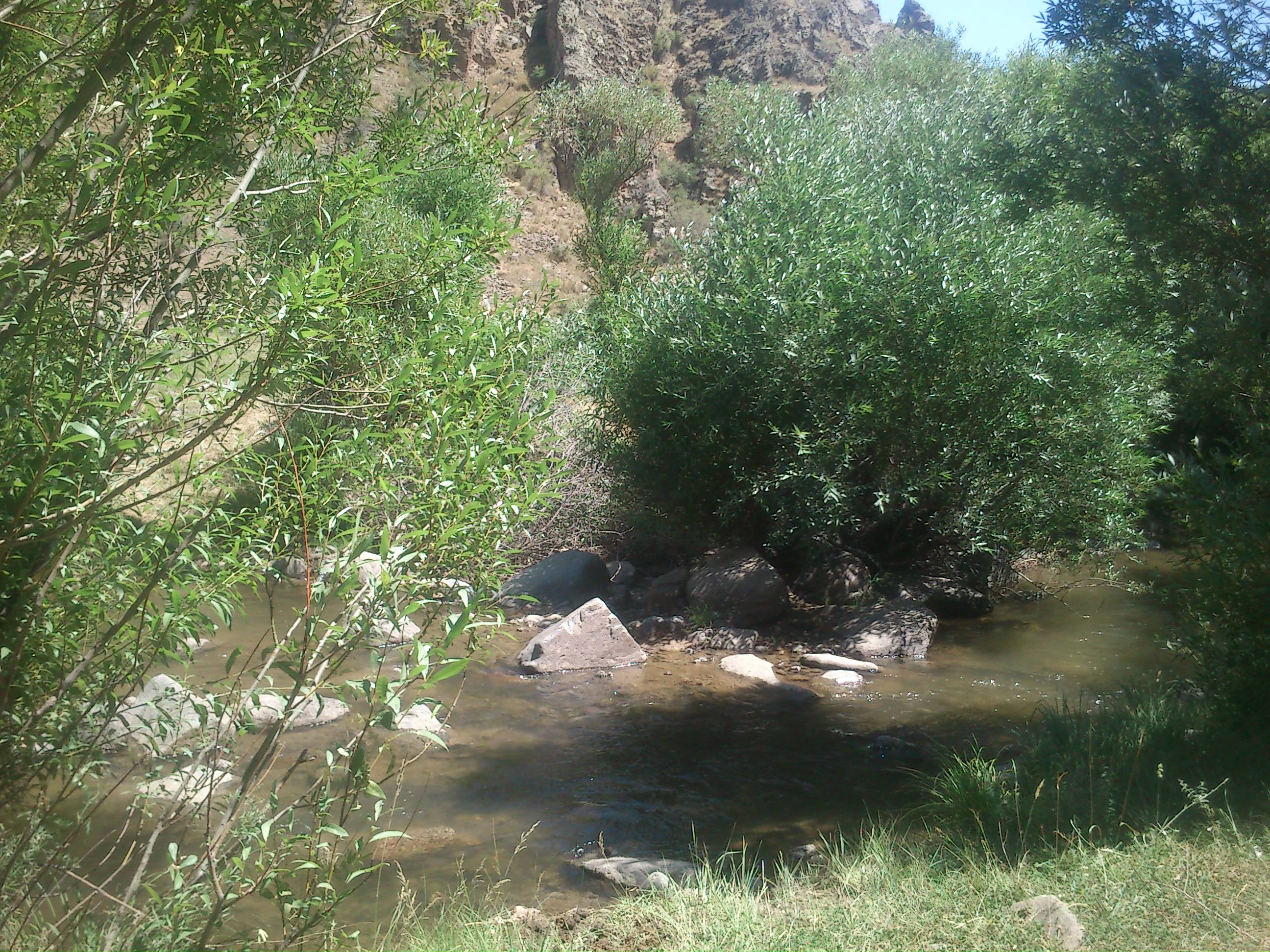 http://s4.picofile.com/file/8172573092/DSC_0163.JPG