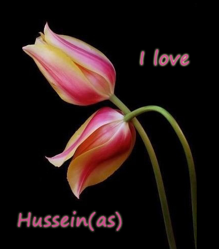 [تصویر: HUSSAIN_HUSSEIN_HUSAYN_9_.jpg]