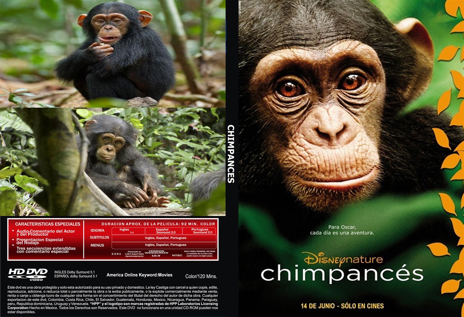 دانلود رایگان مستند زیبای شامپانزه با دوبله فارسی Chimpanzee سال 2012
